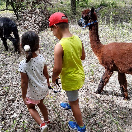 a57bf5f4-8c35-4284-a66b-d15cc4c86386